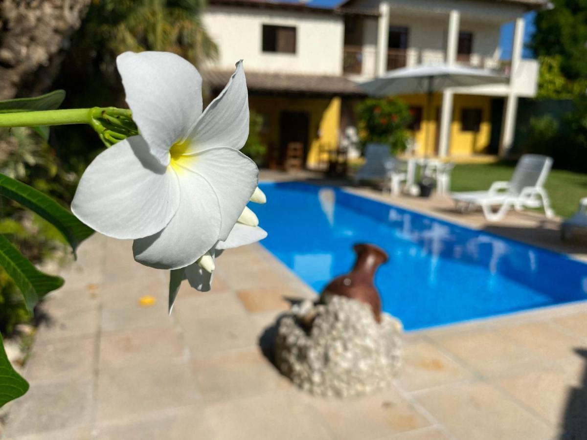 Aruana Porto Seguro